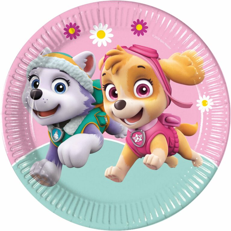 8-paper-plates-large-23cm-paw-patrol-skye-and-everest-partyland